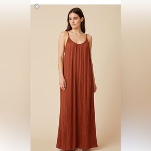 Evereve Roan and Ryan Rust Dress
